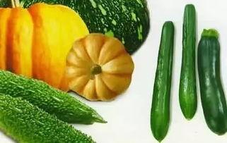 曹县的瓜在哪吃,品味乡愁的甜蜜之旅 第2张 曹县的瓜在哪吃,品味乡愁的甜蜜之旅 第2张